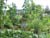 Wedgewood Seniors Residence Garden