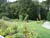 Jubillee Community Garden