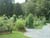 Jubilee Community Garden