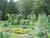 Jubillee Community Garden