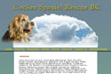 Cocker Spaniel Rescue