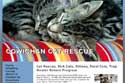 cowichan Cat Rescue